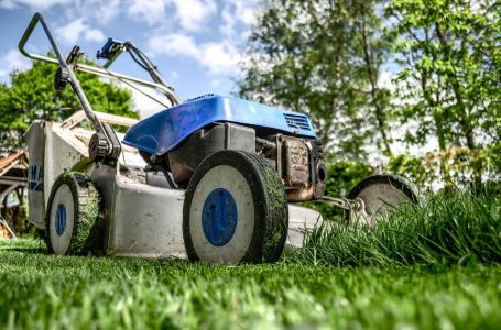 Bruikbare tips om eindeloos te genieten in jouw mooie en vooral gezellige tuin!